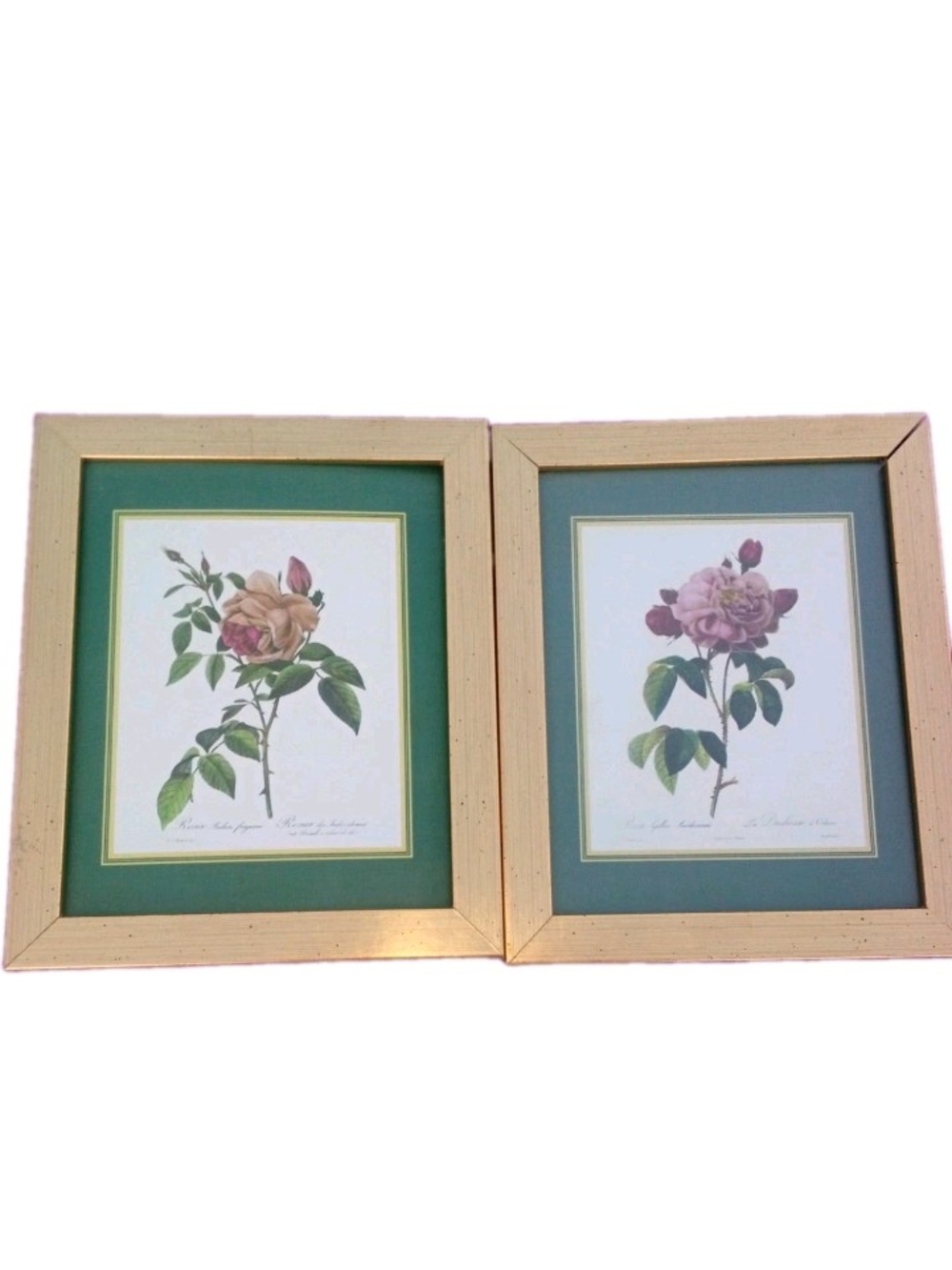 Set of 2 Gold-Tone Picture Frames Green Mat Floral Prints 11.5x9.5 Portrait